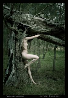 Angela in Nude Muse set Fallen Tree